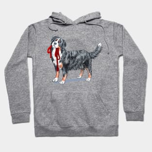 Bernese Mountain Dog with Leash. Hoodie